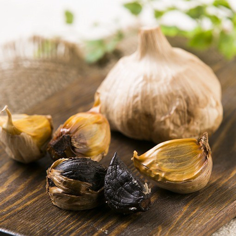 製造された黒にんにくの色と艶