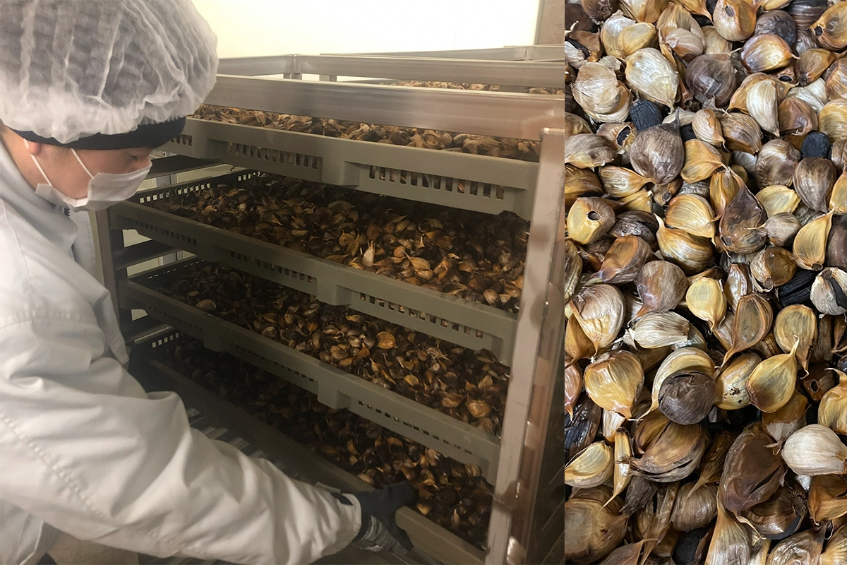 黒にんにく製造中の様子