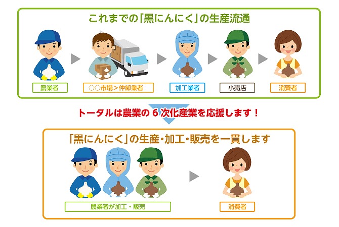 これまでの「黒にんにく」の生産流通 トータルは農業の6次化産業を応援します! 「黒にんにく」の生産・加工・販売を一貫します!
