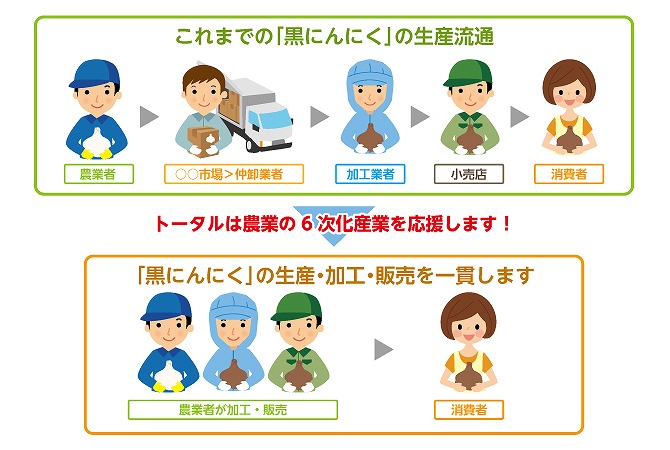 これまでの「黒にんにく」の生産流通 トータルは農業の6次化産業を応援します！ 「黒にんにく」の生産・加工・販売を一貫します！